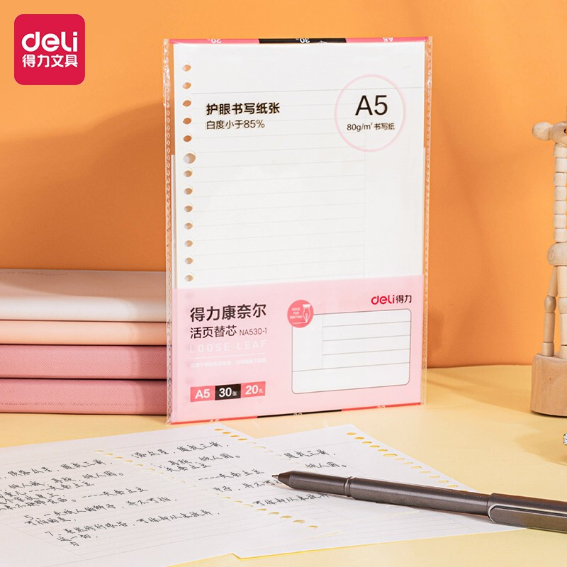 得力(deli) A5/30张活页笔记本替芯 20孔康奈尔格式替芯活页纸 NA530-1