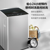康佳（KONKA）洗衣机全自动8公斤波轮 甩干脱水 超薄机身 10档水位 桶自洁 24小时预约 大容量 XQB80-712