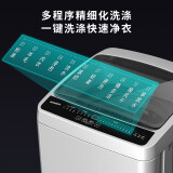 创维(SKYWORTH) 8公斤 洗衣机全自动波轮 智能模糊洗 单脱水 老人租户 降噪省电 T80F