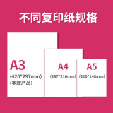 亚太森博（Asia Symbol）拷贝可乐80g A3复印纸 打印纸 A3加厚打印 500张/包 5包/箱（2500张）（百旺系列）