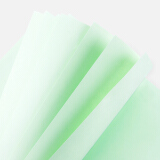 广博(GuangBo) A4彩色复印纸80g 浅绿印加系列 100张/包F8069G