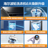 海尔（Haier)波轮洗衣机全自动 直驱变频电机 10KG超宽晶彩触控大屏 免清...