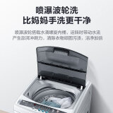 小天鹅（LittleSwan）8公斤 波轮洗衣机全自动 健康免清洗 一键脱水 品...