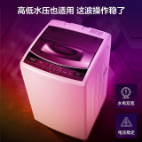 华凌 波轮洗衣机全自动 8公斤大容量 健康免清洗 立体喷瀑水流 品质电机 租房专用 HB80-C1H