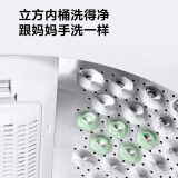 美的(Midea)8公斤全自动免清洗波轮洗衣机  立方内桶 水电双宽 MB80ECO1