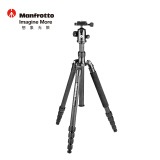 曼富图（Manfrotto） Element系列 反折式大号碳纤维三脚架 可拆独脚架  MKELEB5CF-BH