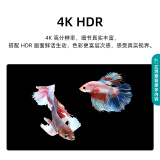 海信（Hisense）55英寸 4K高清智慧语音电视机 超薄悬浮全面屏  55E3F