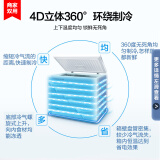 康佳（KONKA）166升 单门小冰柜 冷藏冷冻转换柜 节能单温顶开门卧室冷柜 家用商用 BD/BC-166DTH
