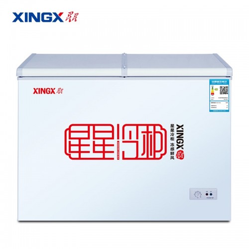 星星（XINGX） 230升 双箱双温冷柜 家用商用冰柜 蝴蝶门玻璃门 冷冻冷藏 BCD-230HE