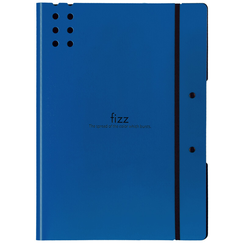 飞兹(fizz)A4加厚款/文件夹板/档案夹/办公用品 深蓝A6382
