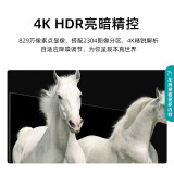 海信电视 55H55E 55英寸 4K超高清智能系统 纤薄机身 高色域液晶平板电...