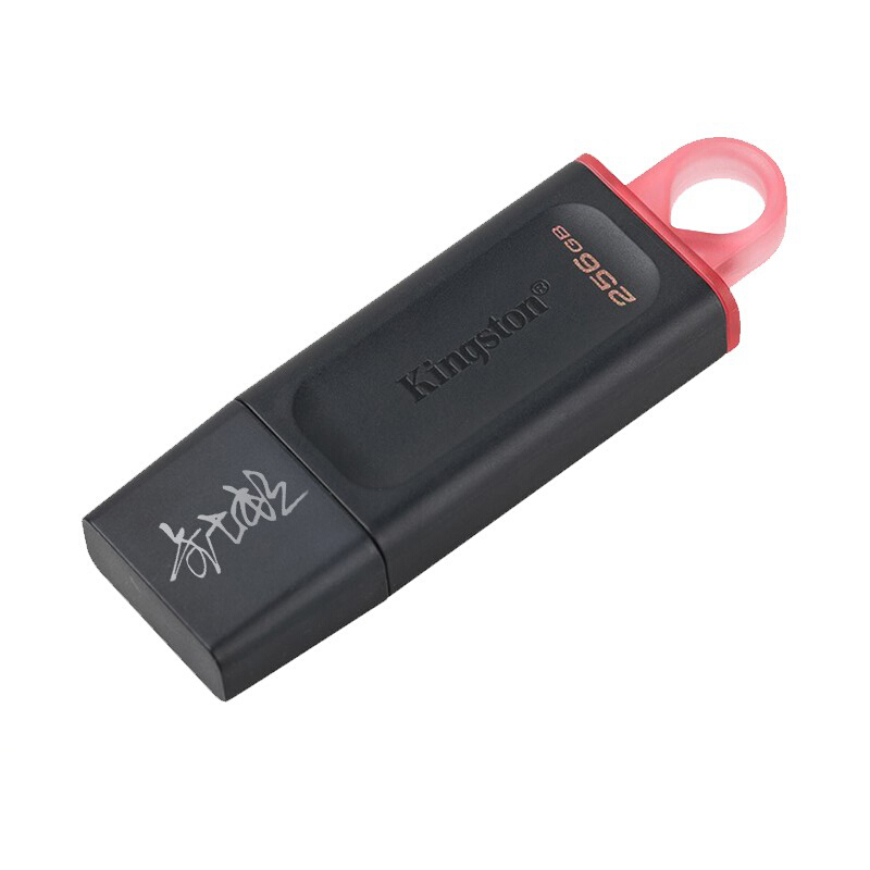 金士顿（Kingston）256GB USB3.2 Gen 1 U盘 DTX 时尚设计 轻巧便携 红色