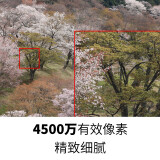 佳能（Canon）EOS R5 8K微单相机 单机身 旗舰型全画幅专业微单