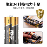 南孚(NANFU)1号碱性电池2粒 大号电池 适用于手电筒/电子琴等 LR20-...