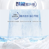 海尔（Haier）洗衣机全自动波轮8KG大容量健康桶自洁智能称重量衣进水智能预约漂甩合一XQB80-M208