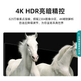 海信（Hisense）50H55E 50英寸 超高清 超薄 全面屏 智慧屏1.5...